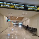 박주현산부인과의원 | 자궁용종수술 : 자궁폴립제거 전신마취 자궁경수술, 과정과 보험청구까지