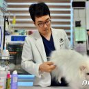 서울종합동물병원 이미지