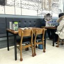 육콩(벤처밸리점) 이미지