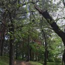 강릉선교장박물관 이미지