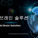 브레인솔루션 네이버블로그
