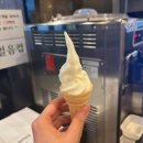 나우커피 완주둔산점 | 대전 시청역 근처 짬뽕 맛집, 짬뽕지존 대전 둔산점