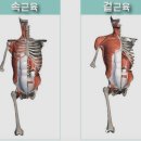 하이짐필라테스 이미지