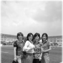 세류초교 이미지