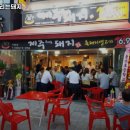 제주부리는돼지 이미지