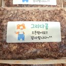 그리다콩