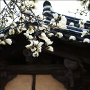 남간정사 이미지