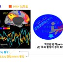 9.뇌 오케스트라 지휘자 이미지