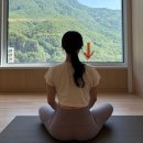 바른몸펴기(주간) | 바른 자세로 거북목 말린어깨 교정 후기 웰포스처 병점체형교정 센터