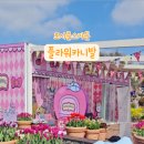 장미축제와 튤립축제 코스 함께 즐기기 에버랜드 꽃 테마 시즌 기간