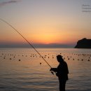 냥냥민박 이미지