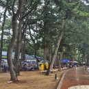 비치사랑민박 이미지