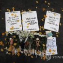 국화여인숙 이미지
