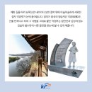 자연의하모니