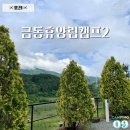 돈까스캠프 | 포천 캠핑장 금동휴양림캠프1 우중 캠핑 2박3일 후기