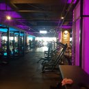 바디채널 이미지