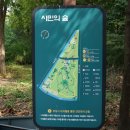 우면산5-4 이미지