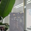 미용기능장의집 손영숙 네이버블로그