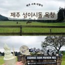 한국마사회제주경주마육성목장 | [제주여행] 성이시돌목장&우유부단ㅣ제주 힐링목장카페, 제주서쪽 가볼만한 여행코스로 추천