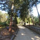 한증막펜션 이미지