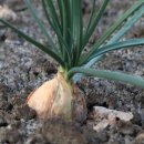 호기농장 이미지