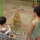 여울터 Daum카페