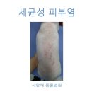 해동물병원 이미지