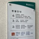 신월동162 이미지