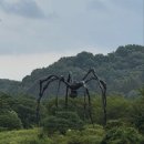 (테마여행)2025.10.11(토)10:30 양재시민의숲역 - 호암미술관, 희원, 민속촌 이미지