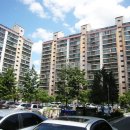 서현고교 앞 이미지