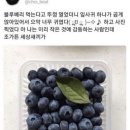윤정이네 이미지