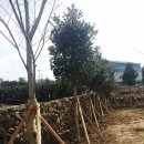 (주)이엔건축사사무소 이미지