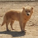 김금동농장 이미지