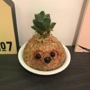 커피꿈다락 이미지