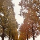 죽동마을 이미지