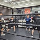 용인대SM복싱클럽 길동점 이미지