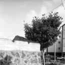 표선리-20 이미지