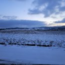 거성목장 이미지