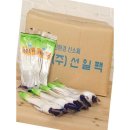 포크기타 이미지