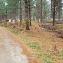 참조은태양광발전소 이미지