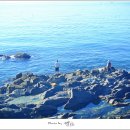 고궁펜션민박 이미지