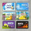 팝송 | MINTIA 다양한 맛 민티아 포도·칼피스·감귤·멜론까지! 직접 먹어본 솔직 후기 (ft. 팝송 음악 추천) ✨