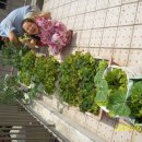 민서농장 이미지