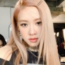 둥이네살롱 네이버블로그