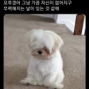 GR(인천광역시 옹진군)-하-147 | 2021 9월 #1