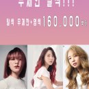 리안헤어항동점 이미지