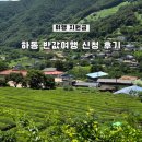 하동1 | 하동 반값여행 신청 후기 1인 최대 14만 원 환급