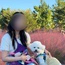 강동조정경기장입구 | 서울 근교 가을 단풍 명소 미사 조정 경기장 경정 공원 데이트 코스 추천