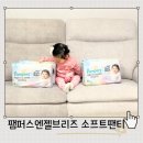 엔젤어린이집 | 팸퍼스 엔젤브리즈 소프트팬티 3개월째 쓰고 있는 낮기저귀 솔직 후기