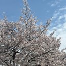 [4월광주] 친구들과 떠나는 당일치기 전라도 영광과 광주 주말 여행(영광굴비와 카페보리, 광주금남로)